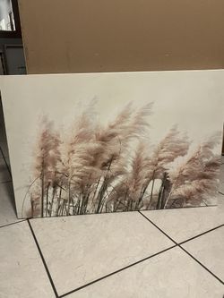 Pampas Grass Wall Art