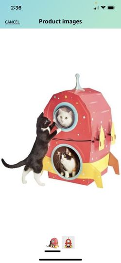 Cat Scratcher