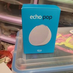 Echo Pop 