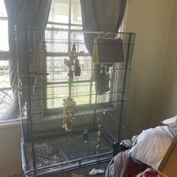 Bird Cage 5 Ft Tall 
