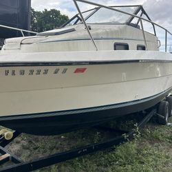 Trophy Bayliner Boat