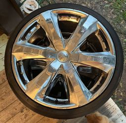 20’s set of 4 ( Dolce ) Universal
