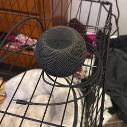 Apple Home Pod Mini