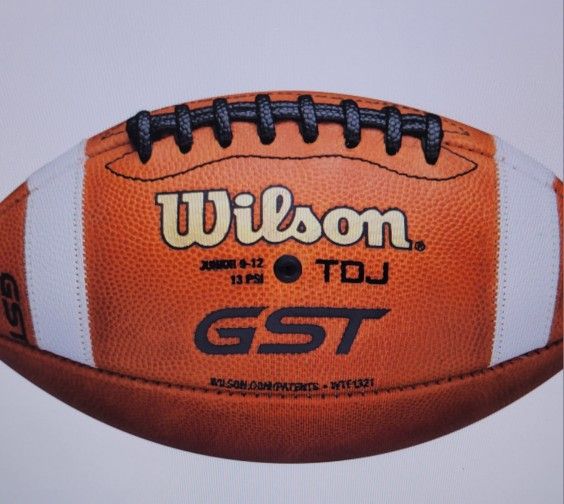 Wilson Leather TDY Youth Football