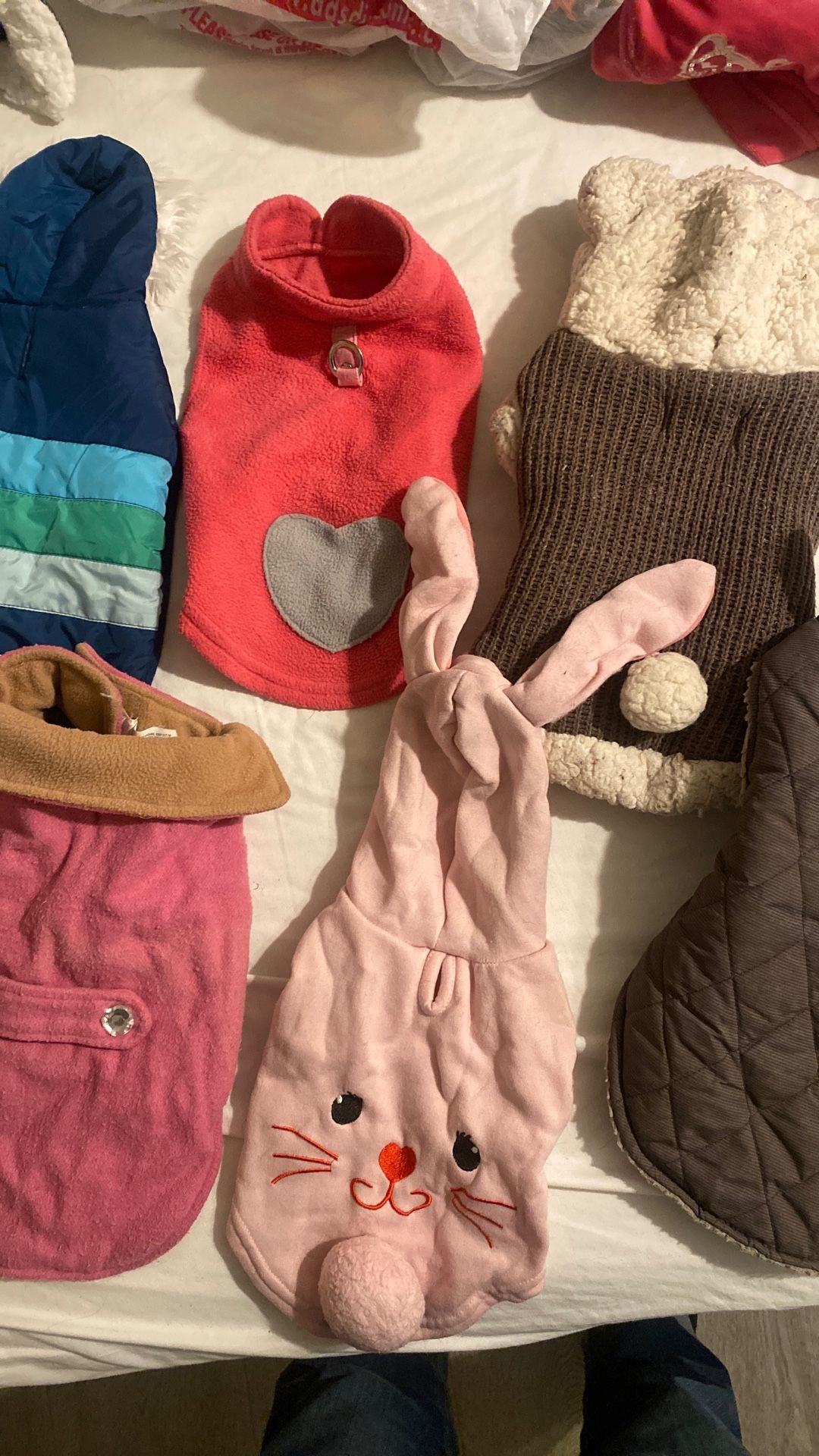 Dog Clothes Jacket
