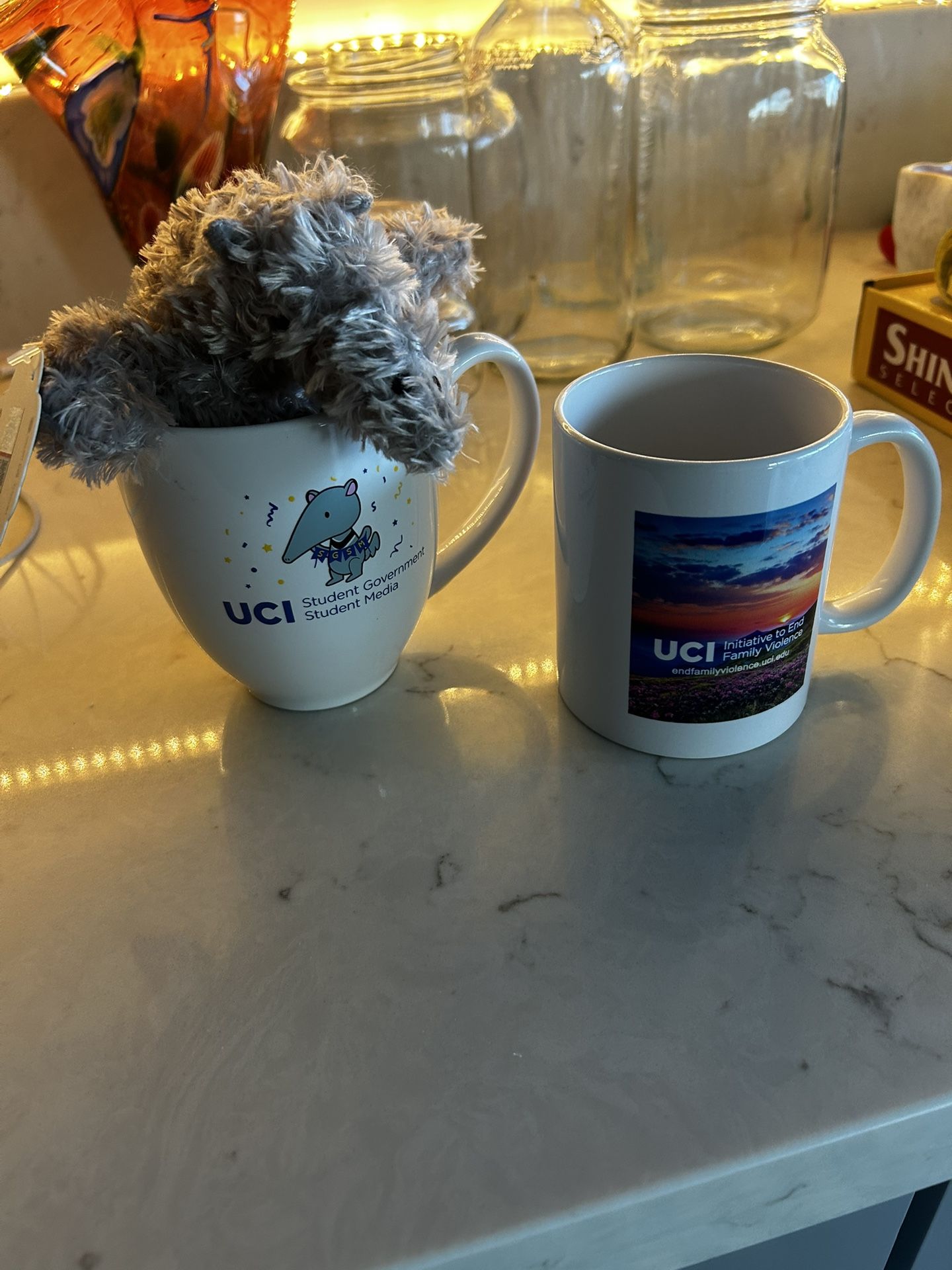 Anteater Plushie and 2 New UC Irvine Mugs