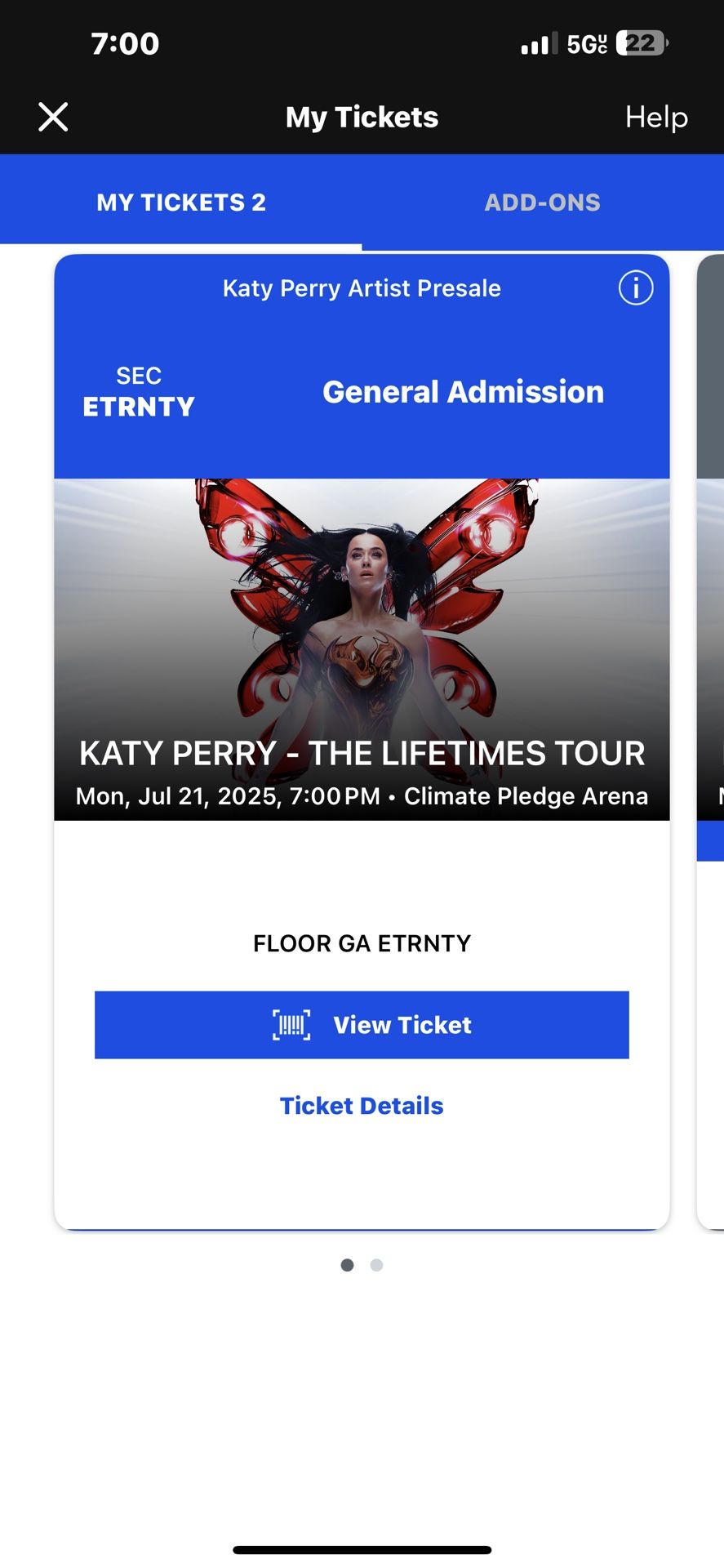 Katy Perry Concert Each Ticket 393