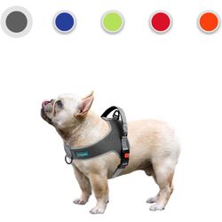 Easy On, Easy Off Harness, M