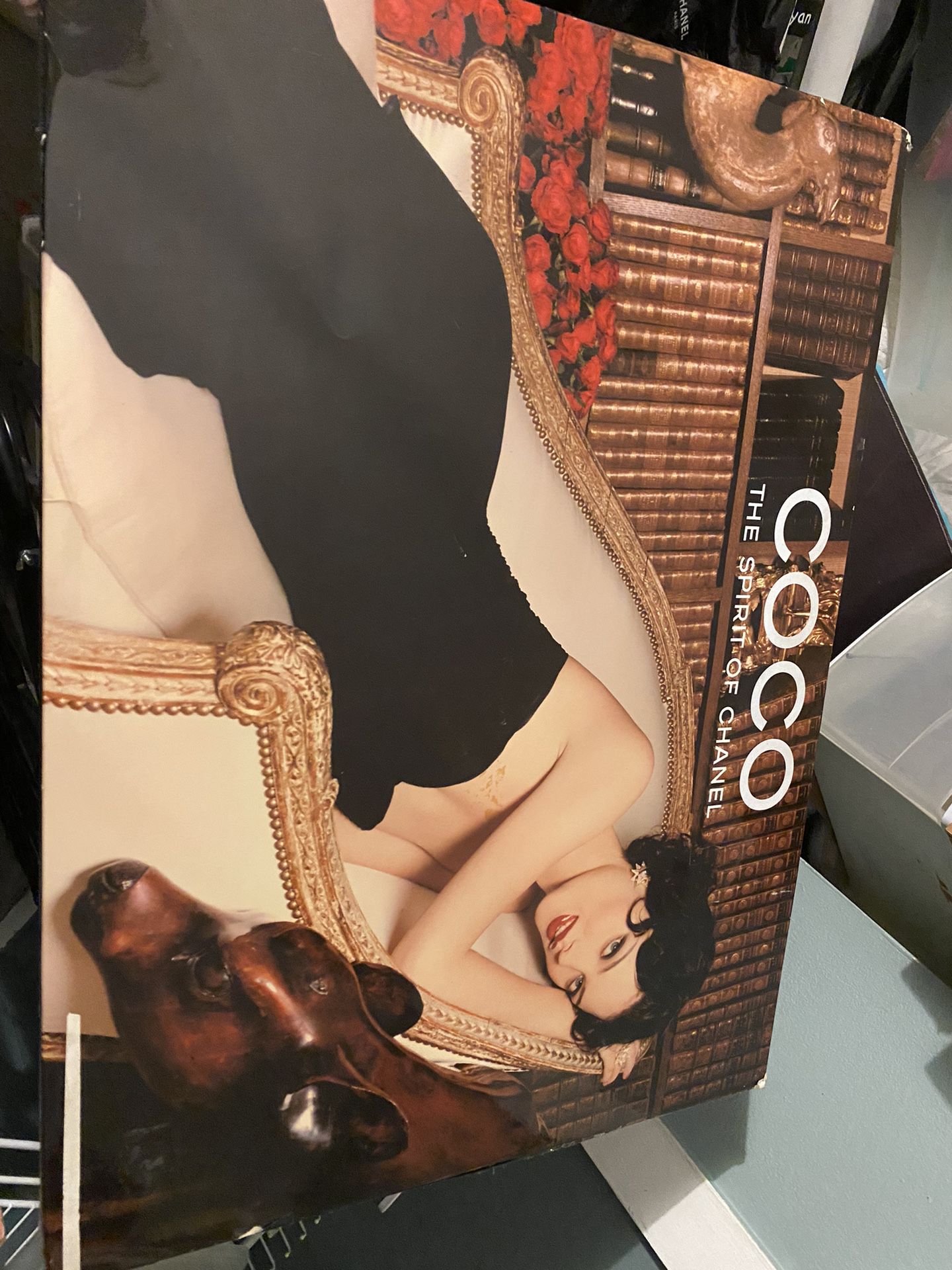 CC Chanel Large Poster From Perfume Campaign 