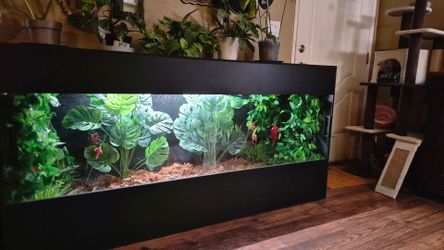 6x2x3  reptile enclosure kages brand