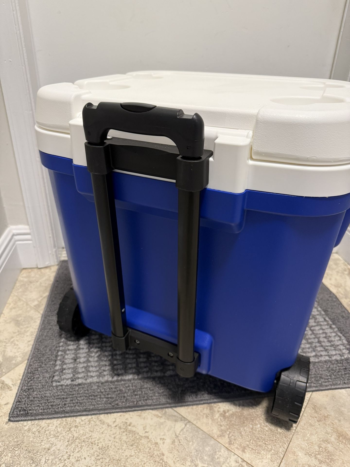 BRAND NEW COOLER