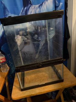 Glass Reptile Terrarium with Screen Top 12x12x18
