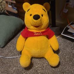 Giant Winnie The Pooh
