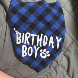 Dog Bandanna