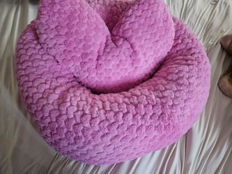 Pet Bed New