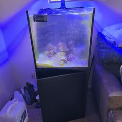 60 Gallon Salt Water Fish Tank