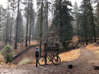 2016 Niner jet9 rdo