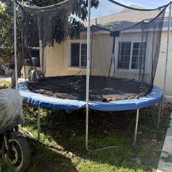 Free Trampoline