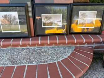 Framed Tree Landscape Photography Prints – Set of 3