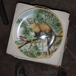 Franklin mint porcelain decorative plate: American Martin in the November Pines