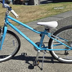 Gaurdian 24" Kids Bike 