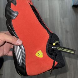 Jordan 14 Size 13
