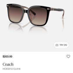 Coach Sun Glases