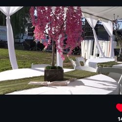 Centerpieces 