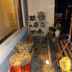Pots and plants