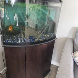 Fish Tank & Cabinet 