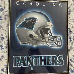 Framed Vintage 1994 Carolina Panthers Poster