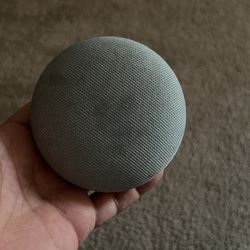 Google assistant