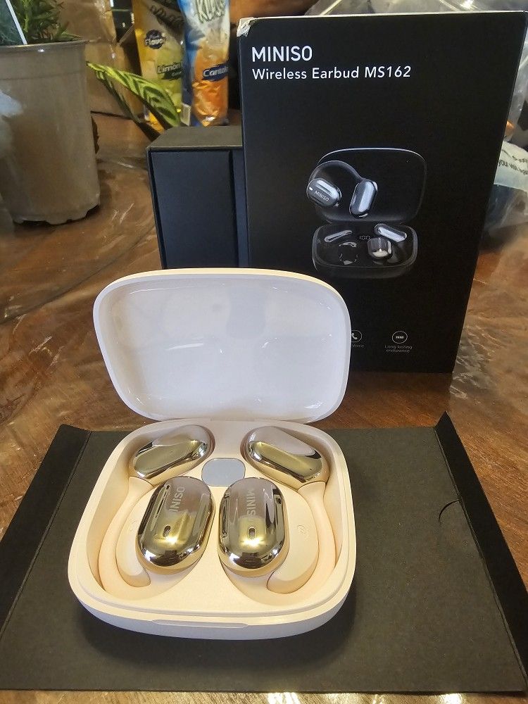 New Earbuds