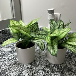 Fake Mini Plants 