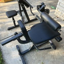 Curling And Leg Bench Equipment 
