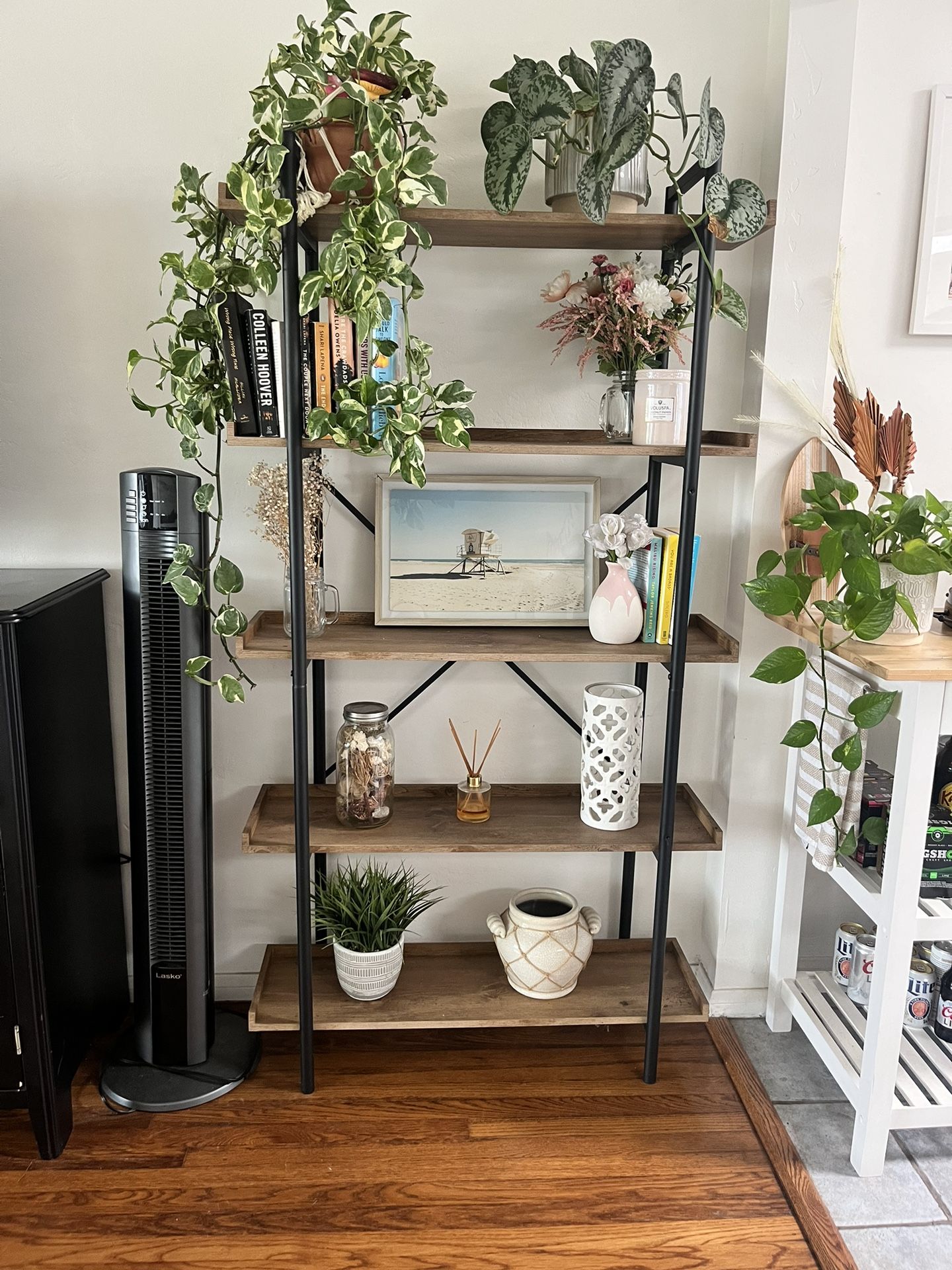 Five Tiered Shelf