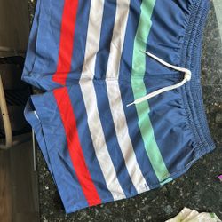 Chubbies Board Shorts