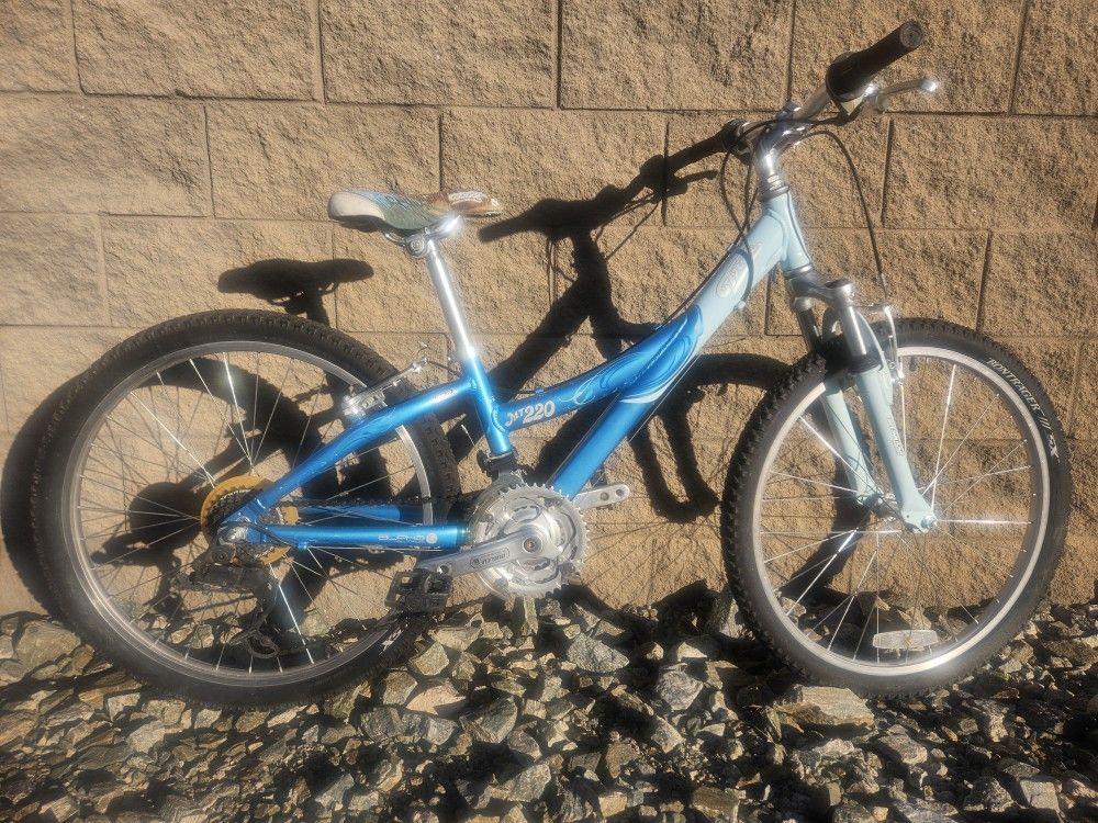 Trek MT220 Girls Youth 12-inch Frame MTB Mountain Bike 18 Speed 24 in Wheels 