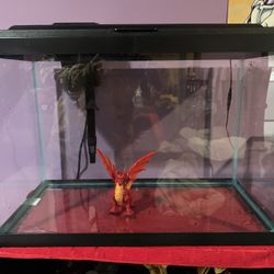 20 Gallon Tall And 5 Gallon Fish tank Bundle 