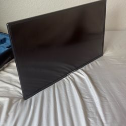 Scepter monitor with wall mount