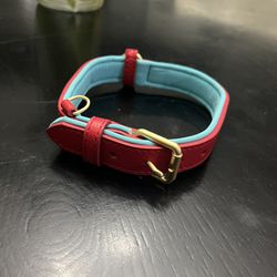 Small Dog Collar New 