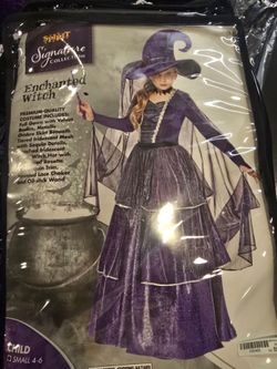 Enchanted Witch Costume