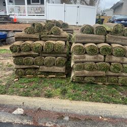 Fresh Sod Cut Every Morning 