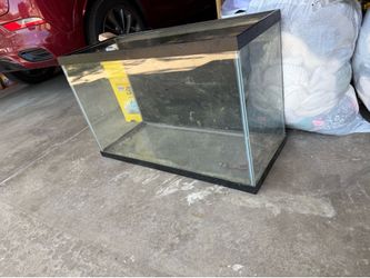 35g Aquarium