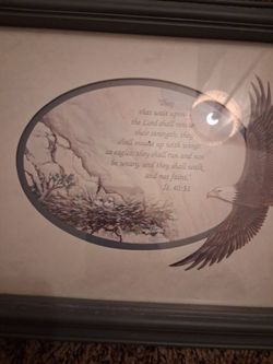 Picutre frame eagle