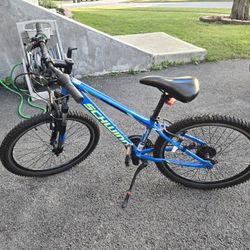 Blue Mountain Bike