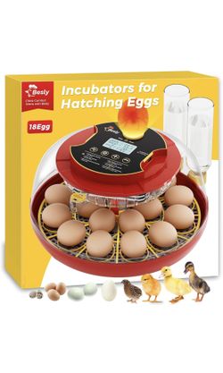 Egg Incubator, Automatic Egg Incubator, 18 Egg Incubator, Incubator for Hatching Eggs, Chicken Egg Incubator - Temperature & Humidity Control, Auto Tu