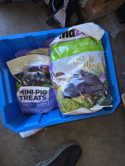 Pig treats