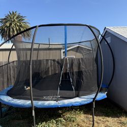 Trampoline 