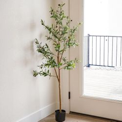 Fake Olive Tree - 5ft Tall Faux Olive Tree  (2)